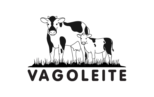 Vagoleite