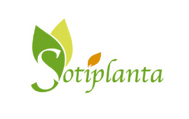 Sotiplanta